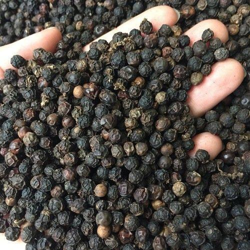 Hướng dẫn chuyên gia